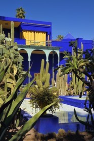 Maroc, Haut-Atlas, Marrakech, ville impériale, quartier de Gueliz, jardin Majorelle fondé en 1931 par le peintre français Jacques Majorelle puis racheté en 1980 par Yves Saint Laurent et Pierre Bergé