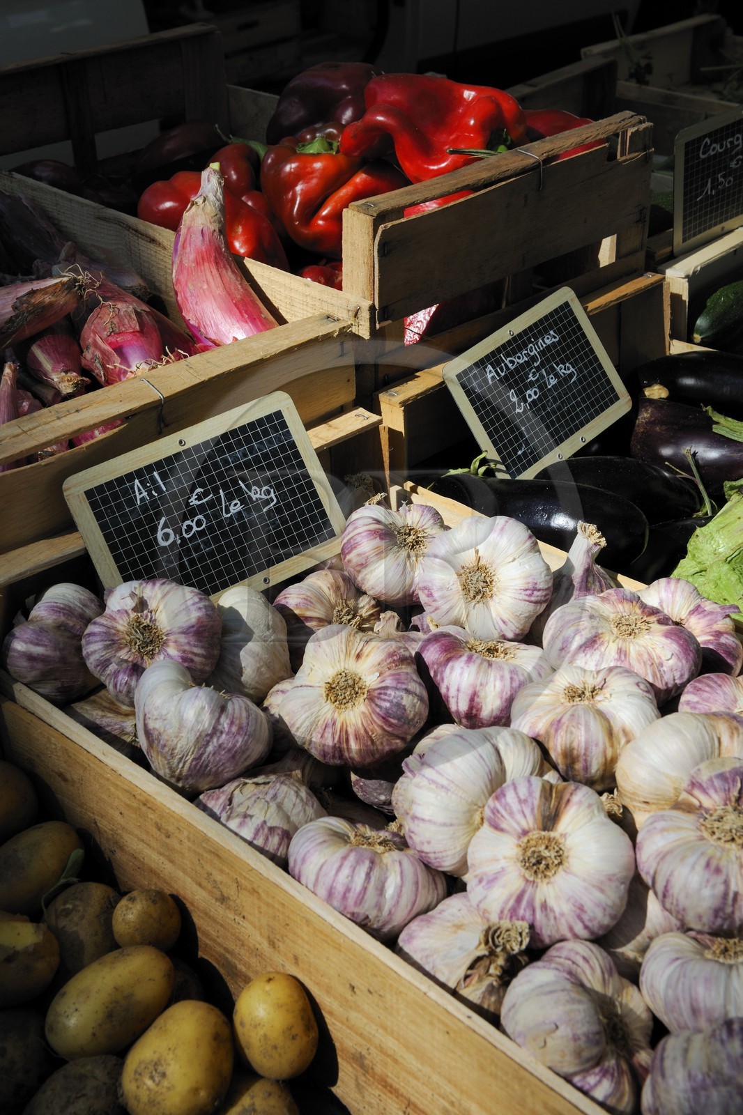 France, Herault, Montpellier, Market of Arches under the Aqueduct St. Clement, fruit and vegetable stall, garlic