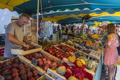 France, Bouches-du-Rhône (13), Parc Naturel Régional des Alpilles, Saint-Rémy-de-Provence, étal de fruits sur le marché place Jules Pellissier