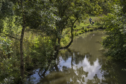 France, Deux-Sèvres (79), le Marais Poitevin, la Venise Verte, Le Vanneau-Irleau, randonnée à bicyclette le long des canaux