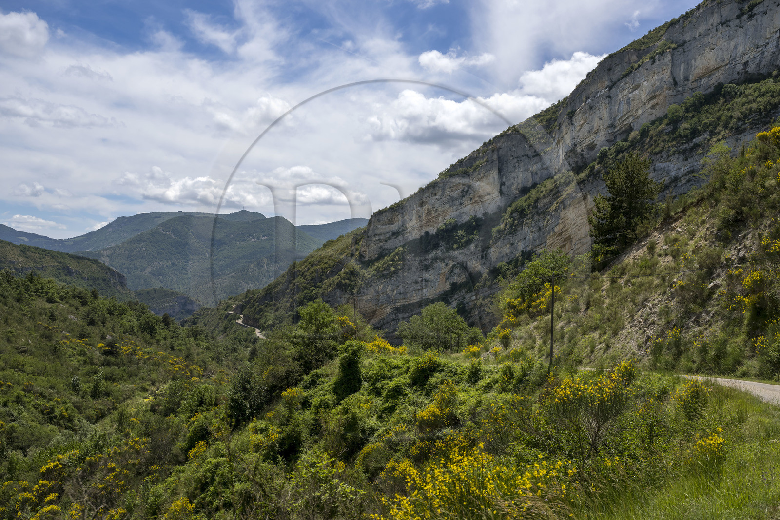 France, Drôme (26), parc naturel régional des Baronnies provençales, Villeperdrix, la D570 petite départementale au dessus de la combe Flodinche au col de la Pertie