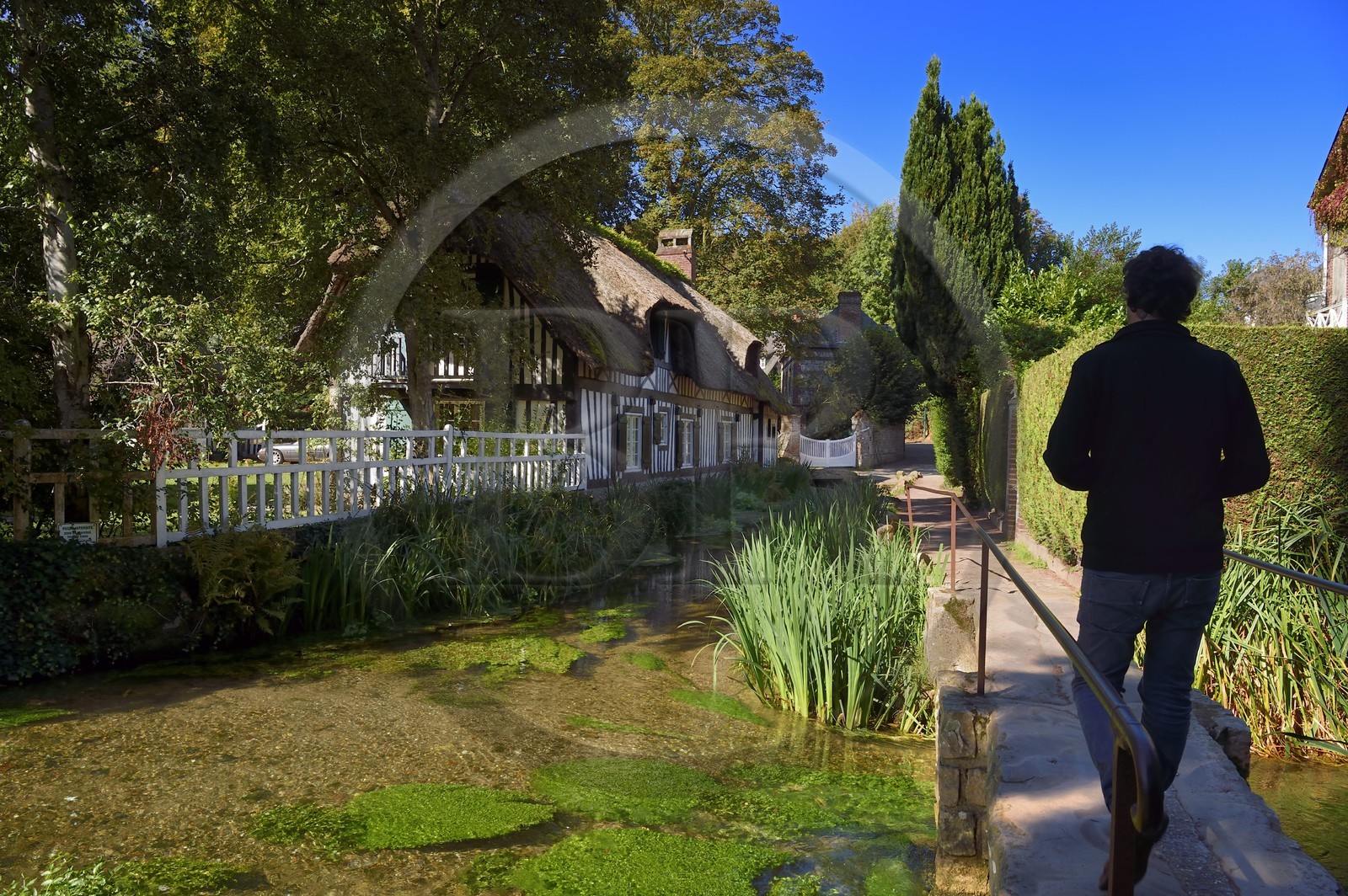 France, Seine-Maritime (76), Côte d'Albatre, Pays de Caux, Veules-les-Roses, labellisé Les Plus Beaux Villages de France, maison à toit de chaume en bordure du fleuve la Veules célèbre pour la faible longueur de son cours (1 100 m)