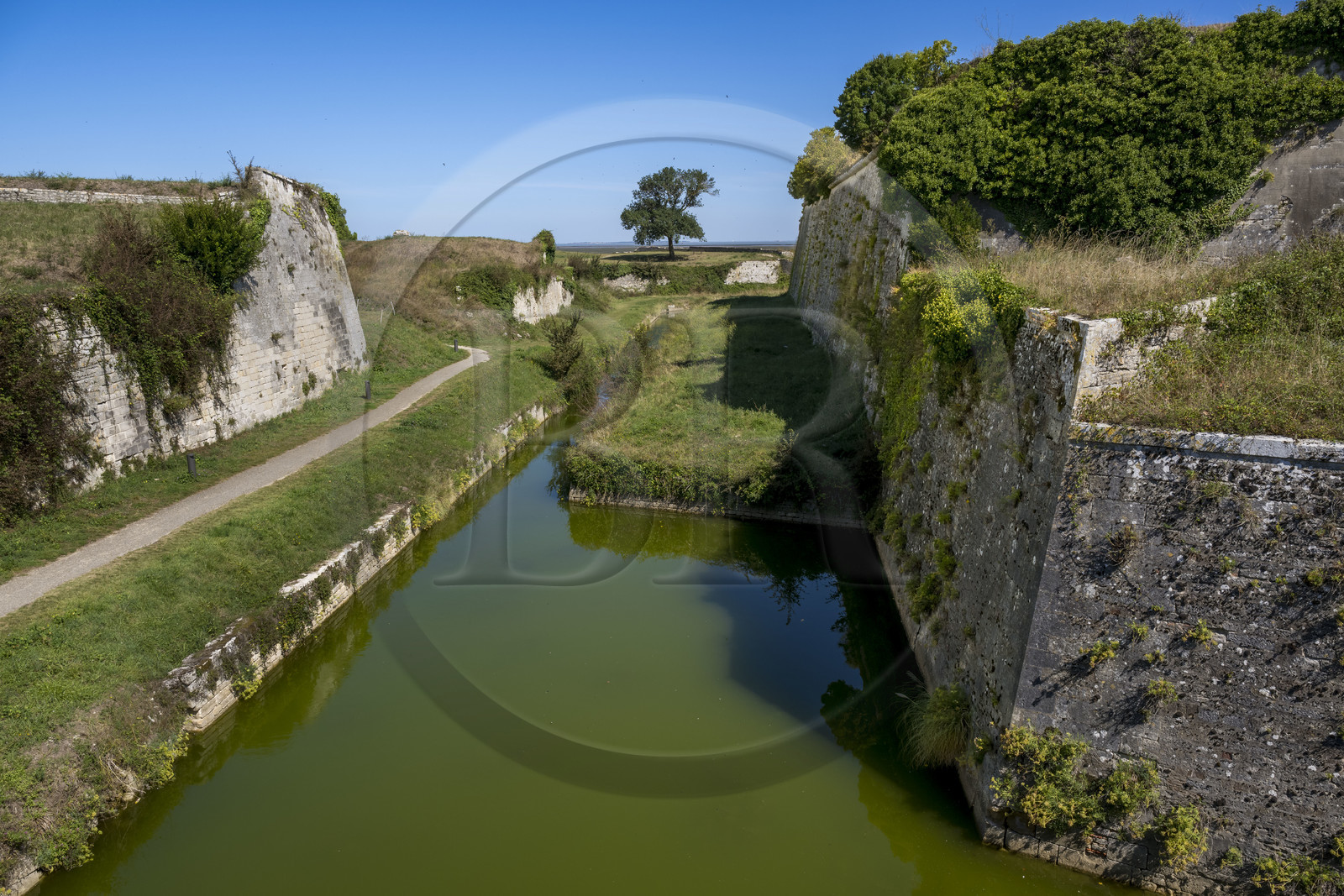 France, Charente Maritime, Oleron island, le Chateau-d'Oleron, moats that a system of locks allows to supply sea water