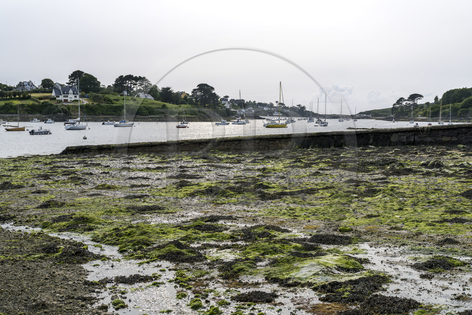 France, Finistère (29), Pays des Abers, Lannilis, l'estran à Prat-Ar-Coum en bordure de l'Aber Benoit