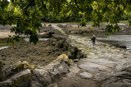 France, Finistère (29), Pays des Abers, Plouguerneau, le Pont du diable ou Pont Krac'h traversant l'Aber Wrac'h à marée basse