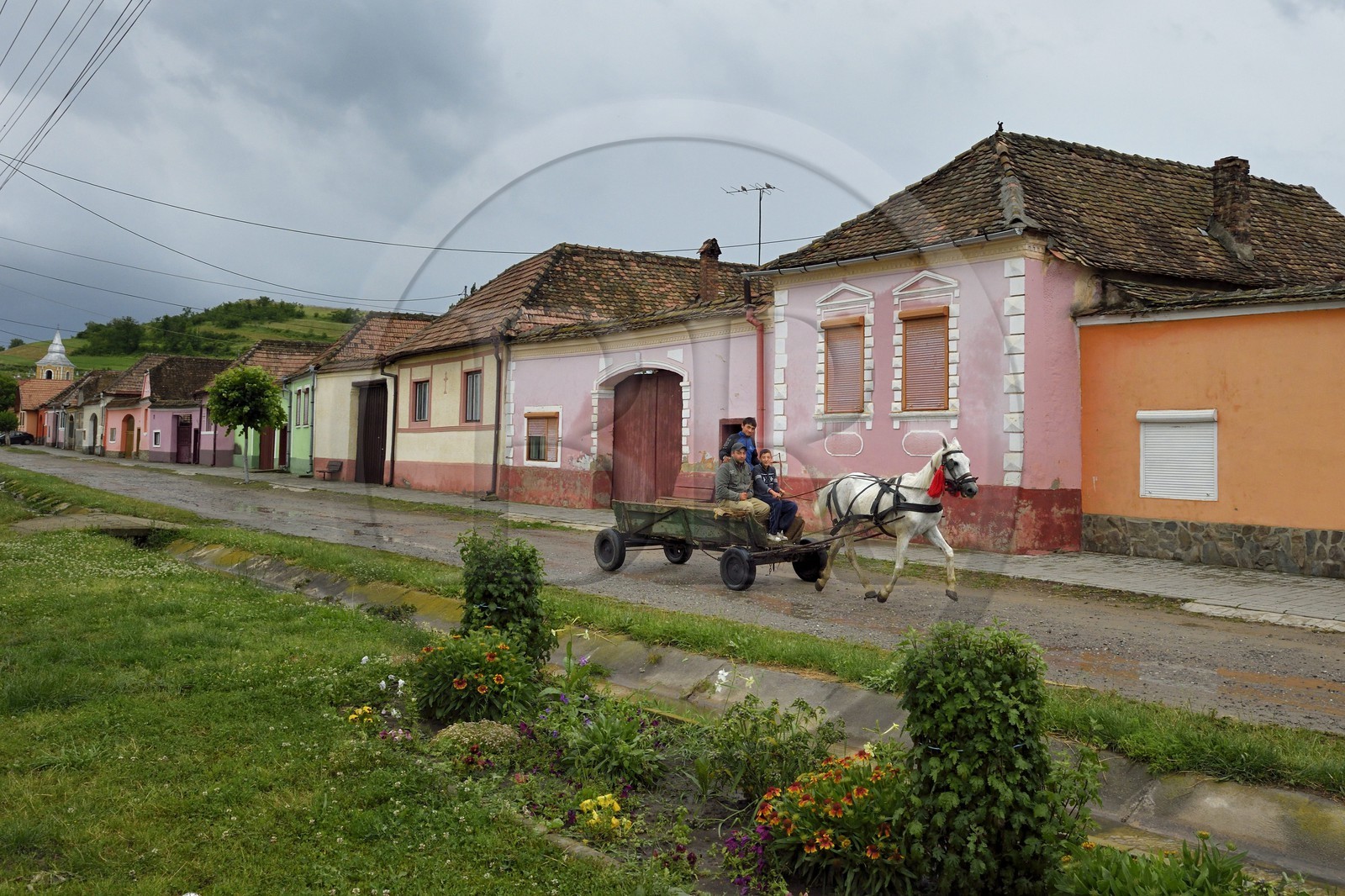 Romania, Transylvania, horse carriage in the village of Brateiu