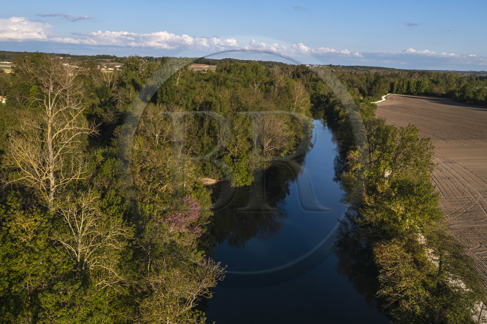 France, Charente (16), Saint-Simon, La Charente encore très nature en amont du village et l'ancien chemin de halage devenu aujourd'hui la véloroute la Flow Vélo sur la droite(vue aérienne)
