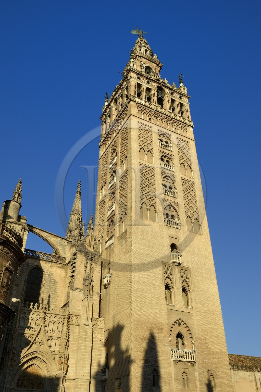 Espagne, Andalousie, Séville, quartier de Santa Cruz, la Giralda, ancien minaret almohade de la Grande Mosquée reconverti en clocher de la cathédrale, classé Patrimoine Mondial de l'UNESCO