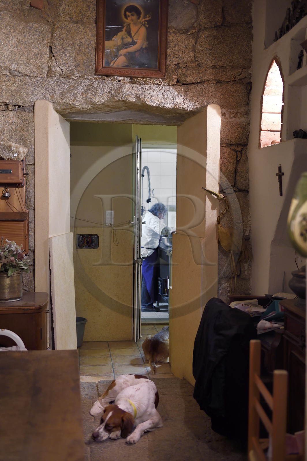 France, Corse-du-Sud (2A), Sartène, l'auberge l'Oasis du Lion à Roccapina