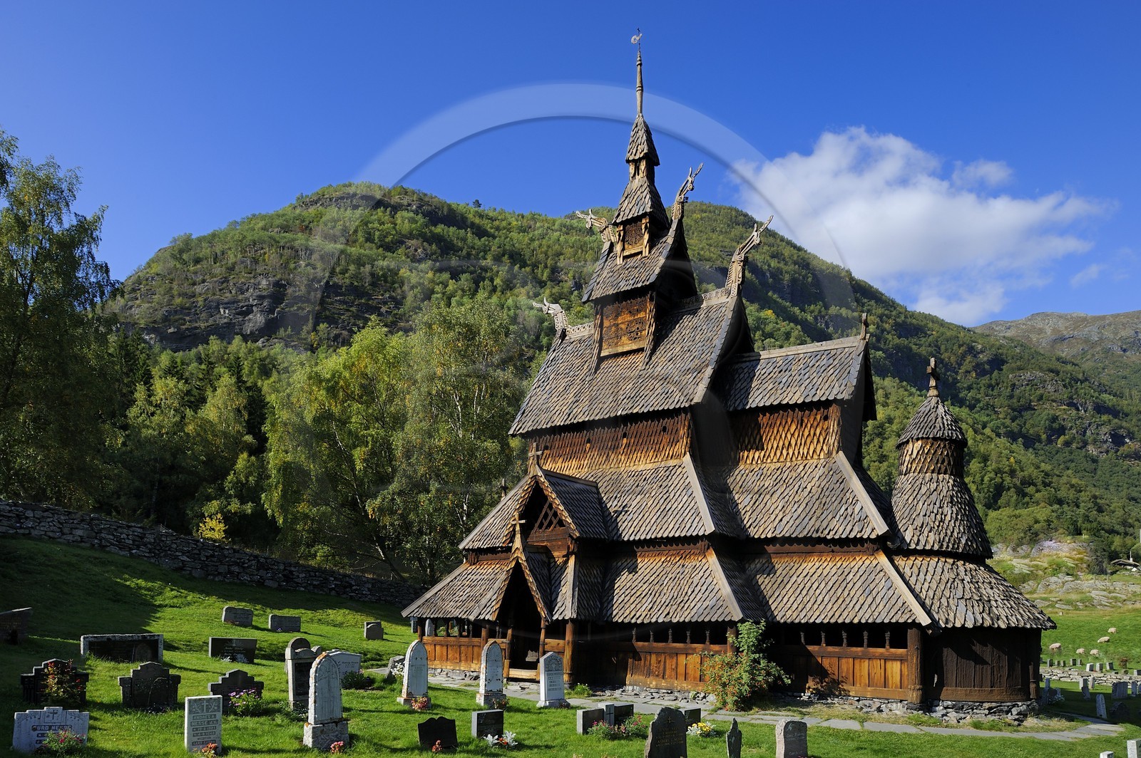 Norvège, comté de Sogn Og Fjordane, église en bois debout ou stavkirke (1130) de Borgund aux motifs vikings de l’ère pré-chrétienne