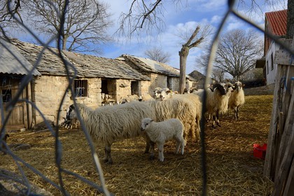 Croatia, Dalmatia, Dalmatian Coast, the village of Gorace war victim