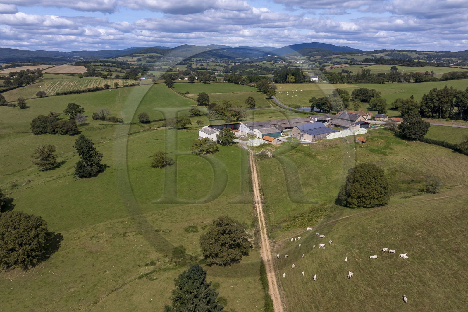 France, Nièvre (58), Parc naturel régional du Morvan, Millay, Ferme Les Prairies Gourmandes, élevage de vaches Charolaises (vue aérienne)