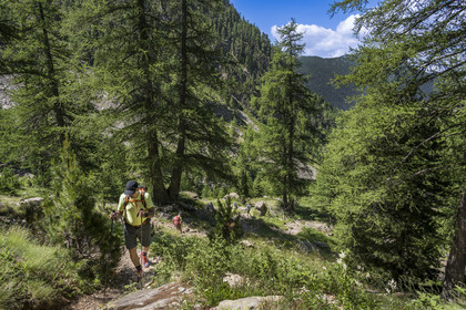 France, Alpes-Maritimes, Parc National du Mercantour (Mercantour national park), Haute Vesubie, Saint Martin Vesubie, Val du Haut Boréon, hikers on the way to the Trecolpas lake
