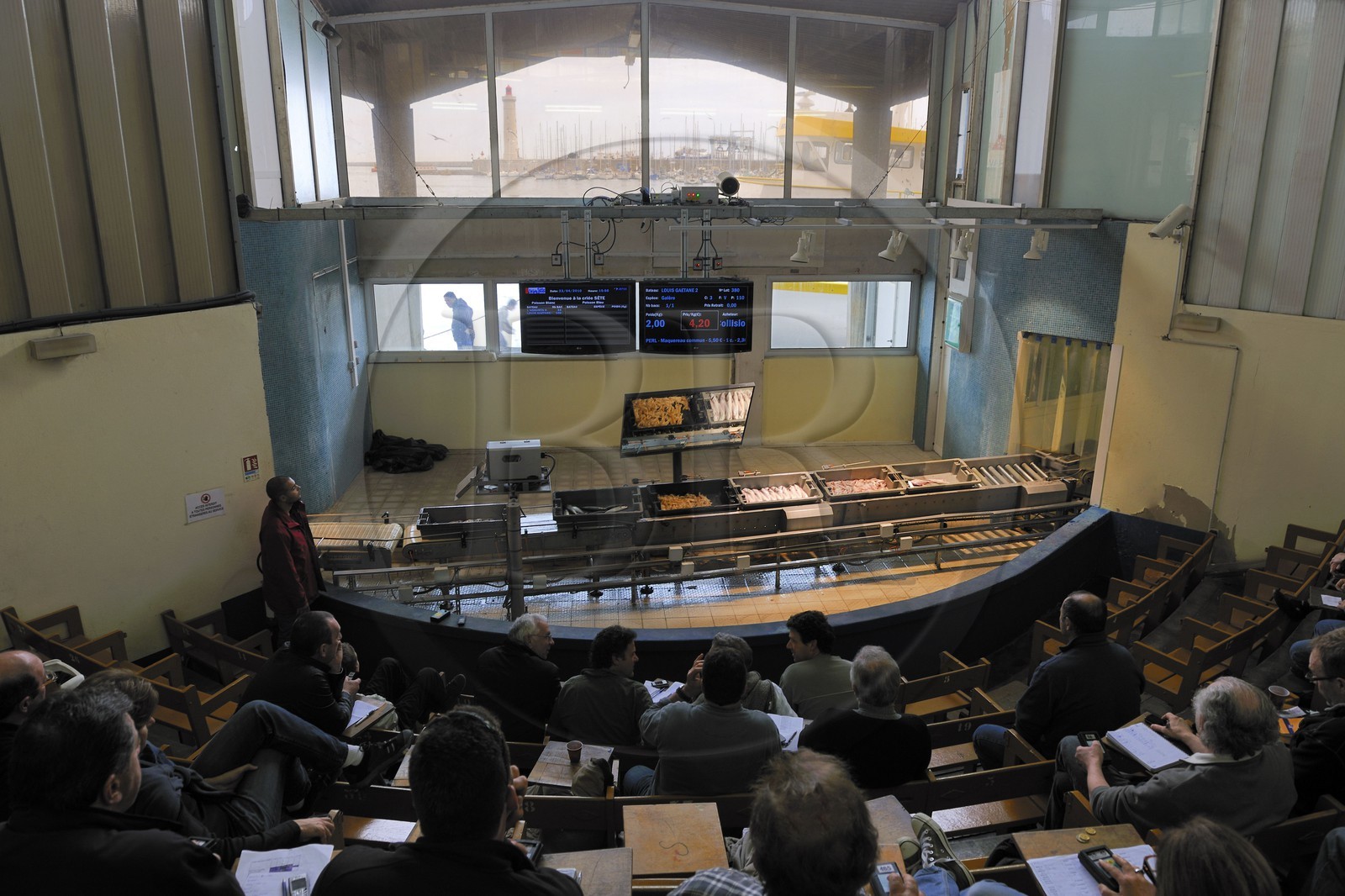 France, Hérault (34), Sète, la Criée Aux Poissons, première criée informatisée de France