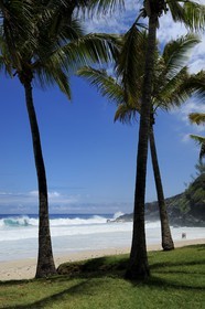 France, île de la Réunion, la côte sud, plage de Grand-Anse