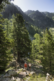 France, Alpes-Maritimes (06), parc national du Mercantour, Haute-Vésubie, Saint-Martin-Vésubie, Val du Haut Boréon, randonnée sur le GR 52 vers le refuge de Cougourde