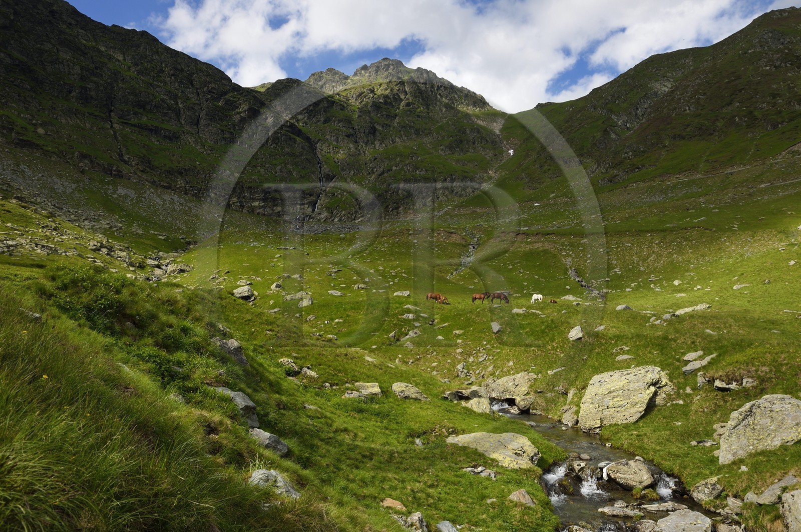 Romania, Wallachia, Muntenia, Arges County, the Fagaras Mountains along the Transfagarasan Road in the Southern Carpathians