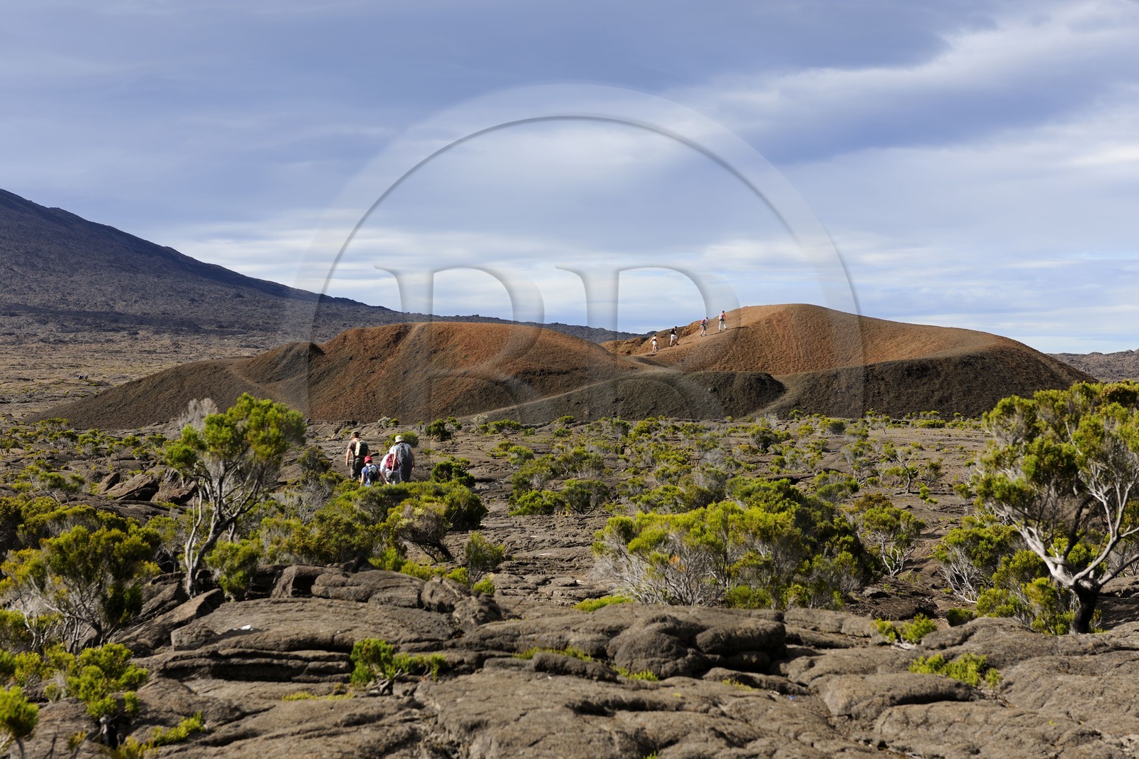 France, île de la Réunion, volcan du Piton de la Fournaise, classé Patrimoine Mondial de l'UNESCO, le cratère Formica Léo au premier plan et le cratère Dolomieu dans l'Enclos