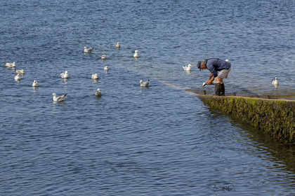 France, Finistère (29), Mer d'Iroise, Ile d'Ouessant, le port de Lampaul