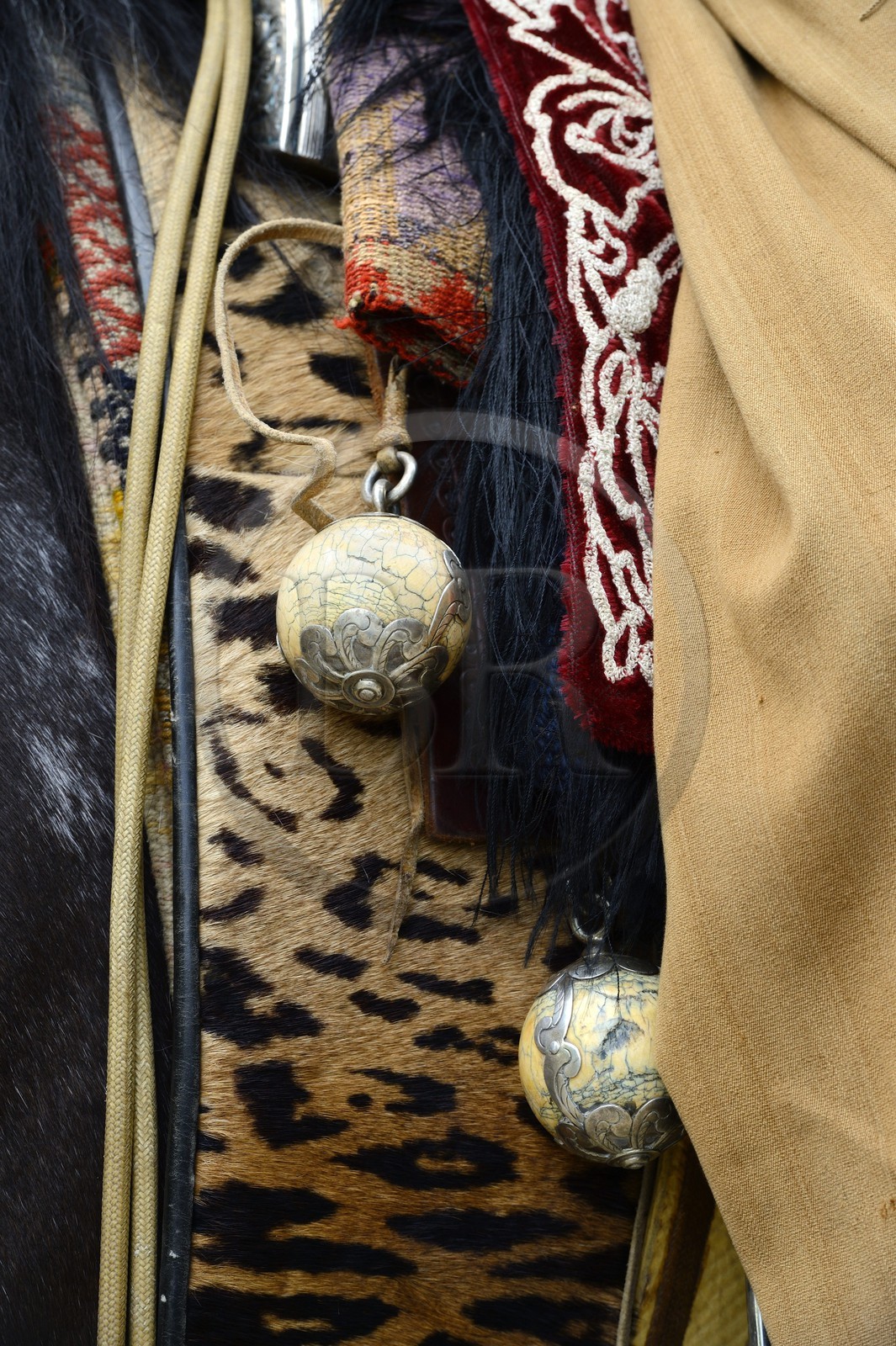 Argentine, province de Buenos Aires, San Antonio de Areco, fête du Jour de la Tradition (Dia de la Tradicion), les bolas (ou boleadoras) accrochés à la selle