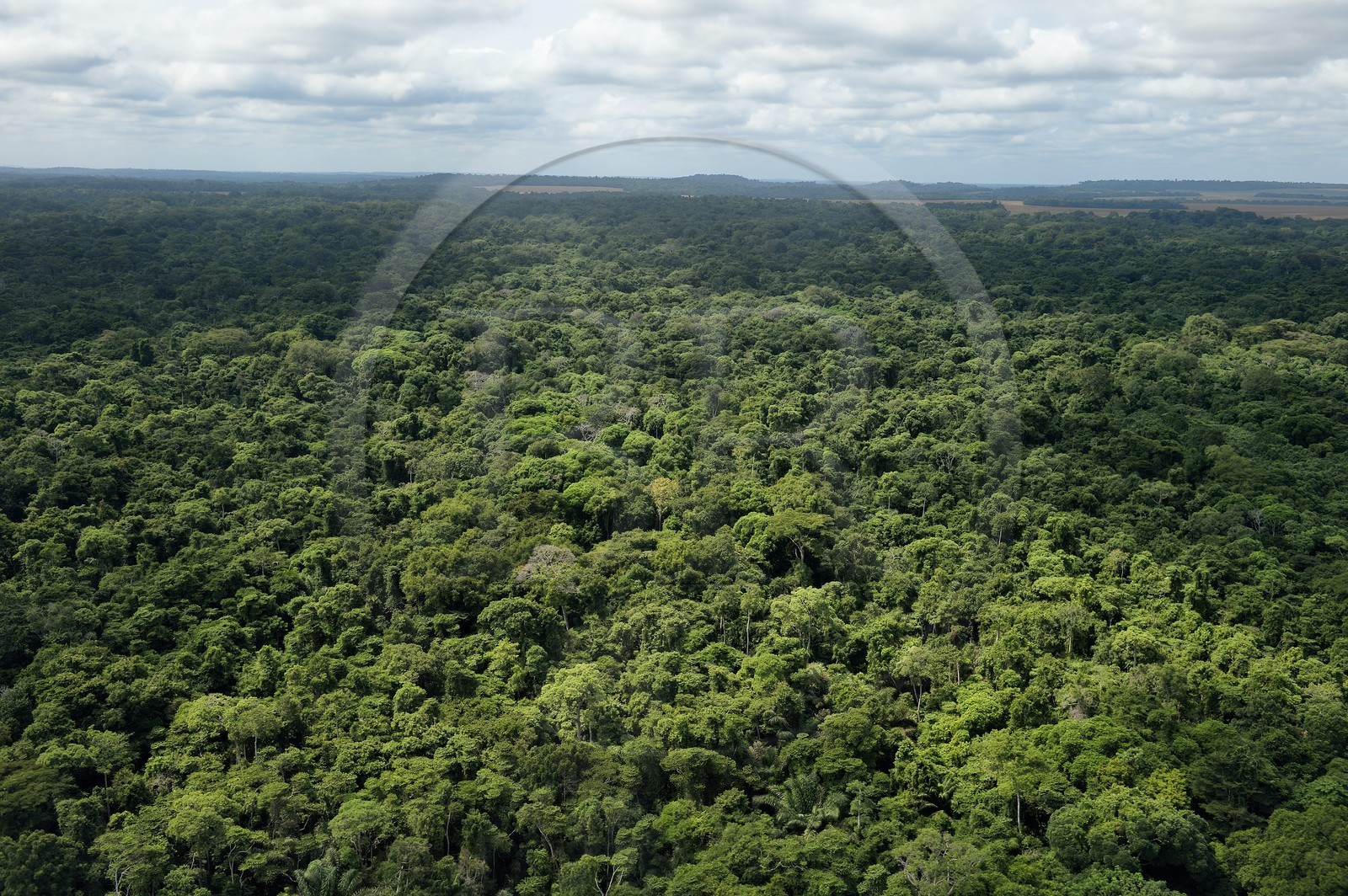Gabon, Ogooue-Maritime Province, Wonga Wongue National Park (aerial view)