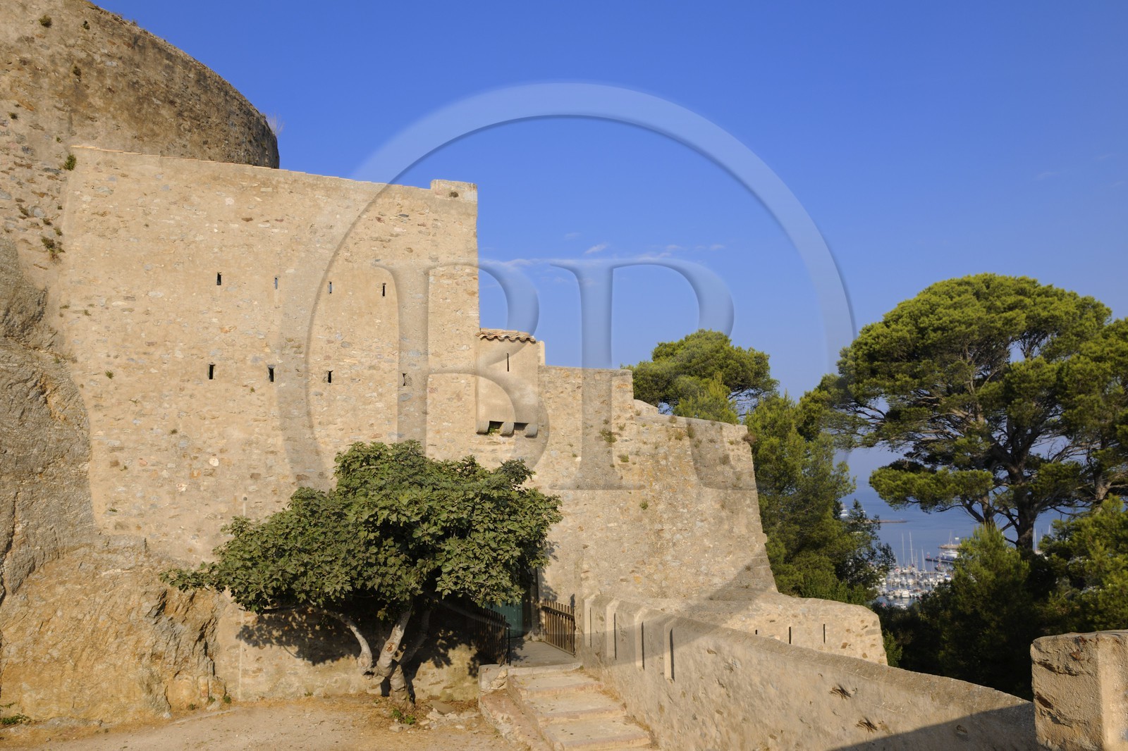 France, Var (83), Iles d'Hyères, parc national de Port-Cros, île de Porquerolles, fort de Sainte Agathe