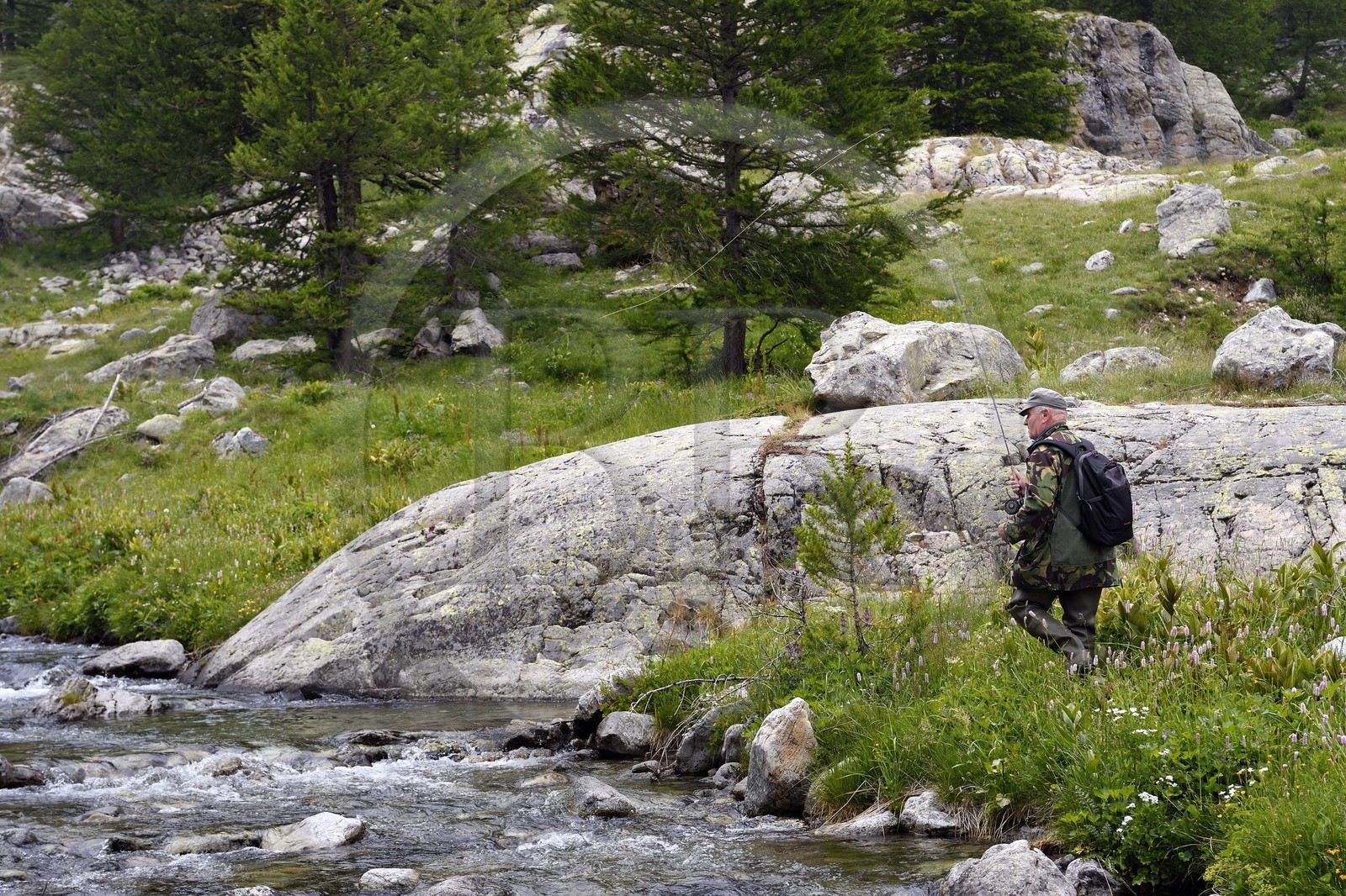France, Alpes-Maritimes, parc national du Mercantour (Mercantour National Park), Valmasque valley, fly fishing