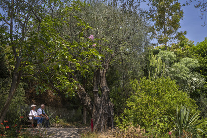 France, Alpes-Maritimes (06), Menton, Jardin botanique exotique du Val Rahmeh