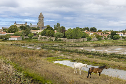 France, Vendée (85), île de Noirmoutier, Noirmoutier-en-l'Ile, les marais du Müllembourg, le château et l'église Saint-Philbert