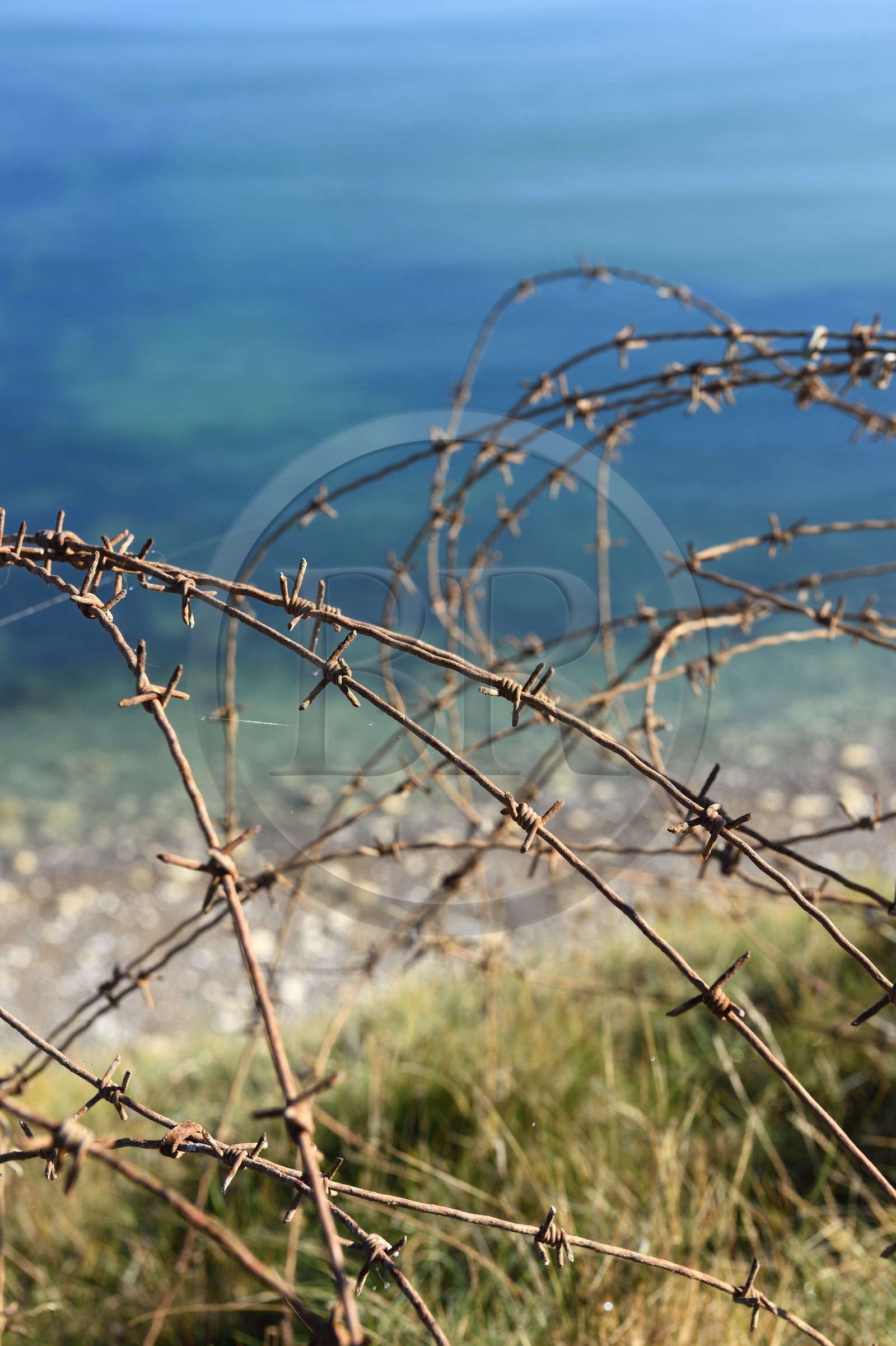 France, Calvados (14), Cricqueville-en-Bessin, barbelés du blockhaus de la Pointe du Hoc