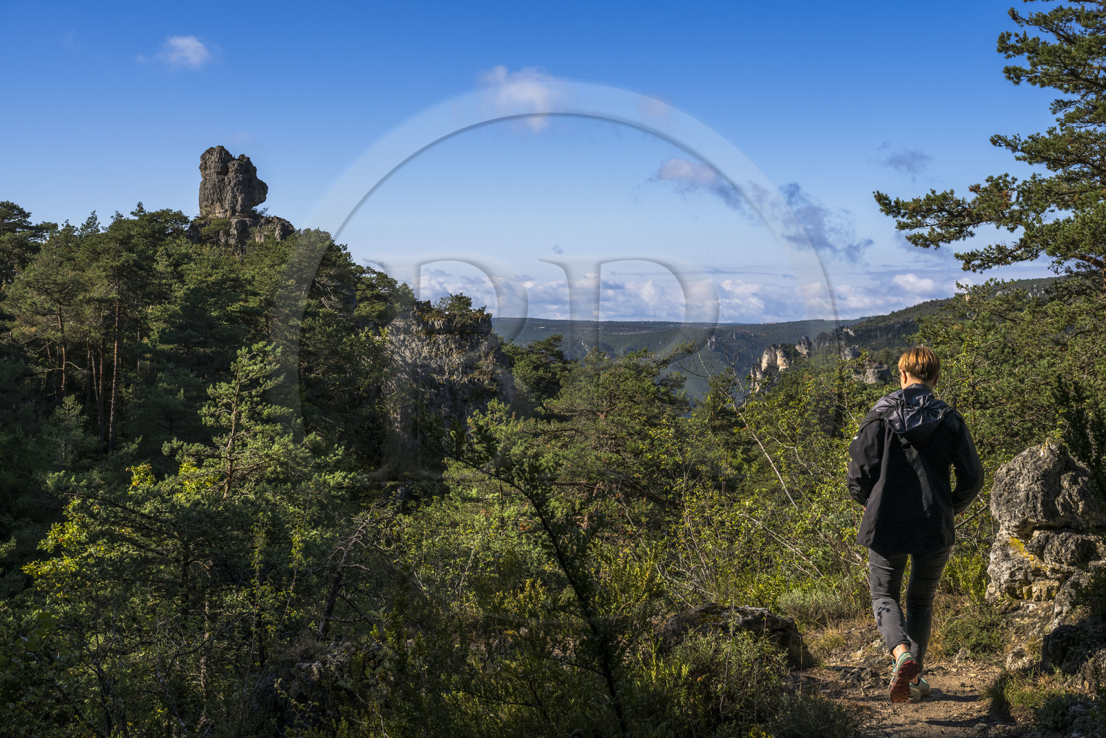 France, Aveyron, Causses and the Cevennes, cultural landscape of Mediterranean agro-pastoralism, listed as World heritage by UNESCO, Causse Noir, La Roque Sainte Marguerite, chaos of Montpellier-le-Vieux, the Cité de Pierres (City of Stones), the rock called Tête d'Ours