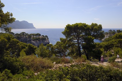 France, Bouches-du-Rhône (13), Cassis, presqu'île de Port Miou et les falaises du Cap Canaille en arrière plan