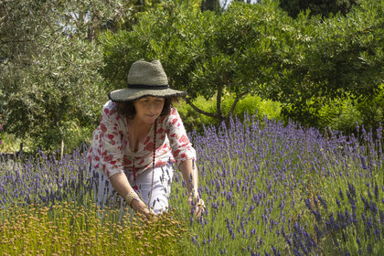 France, Alpes-Maritimes (06), Mouans-Sartoux, Jardins du Musée International de la Parfumerie​ (MIP), Corinne Marie- Tosello, une Nez designer d’ateliers olfactifs, nous propose de découvrir une grande variété de plantes odorantes