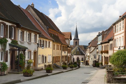France, Bas-Rhin (67), parc régional des Vosges du nord, La Petite Pierre, rue principale