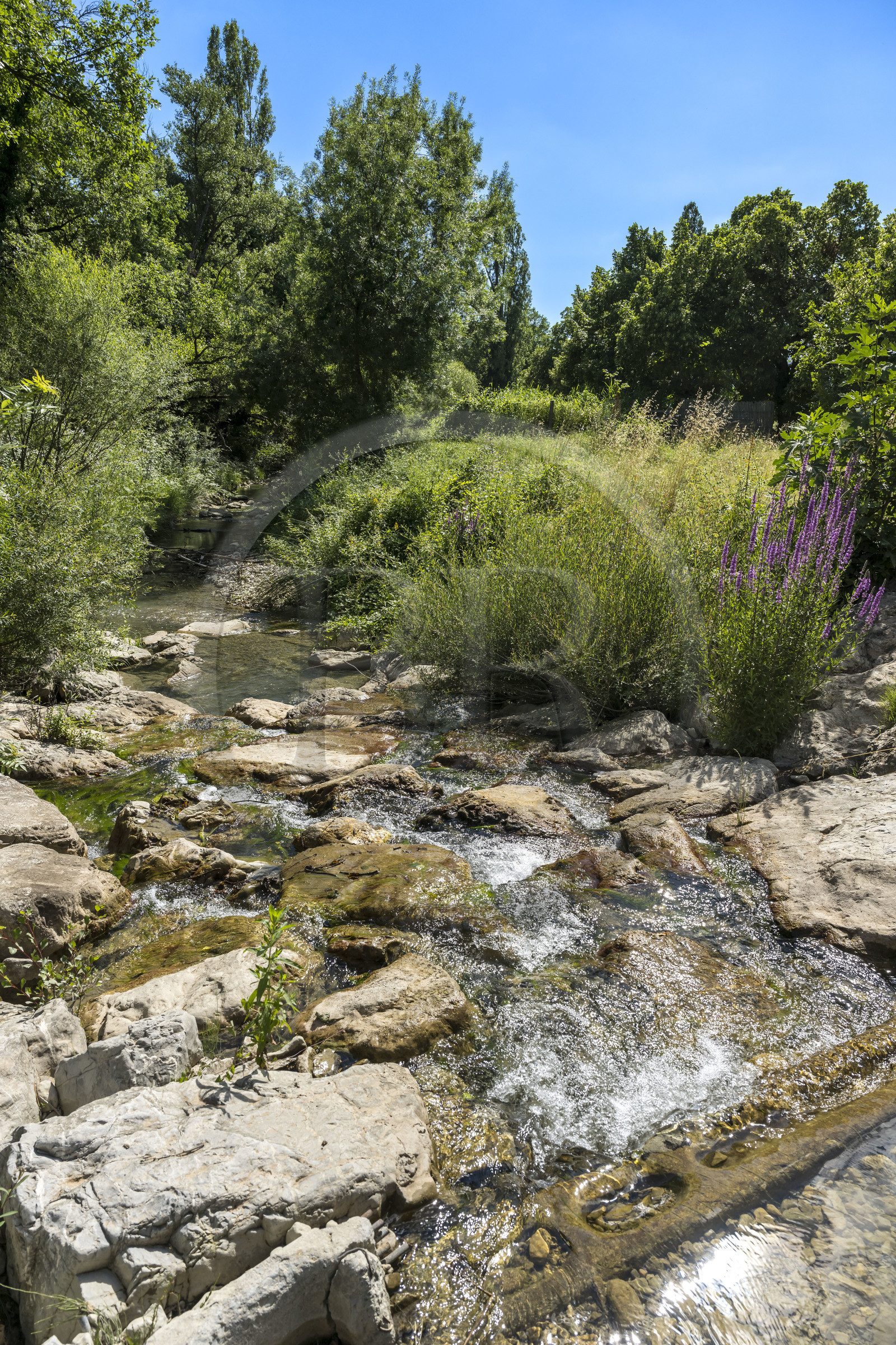 France, Drôme (26), parc naturel régional des Baronnies provençales, Saint-Sauveur-Gouvernet, la vallée de l’Ennuye