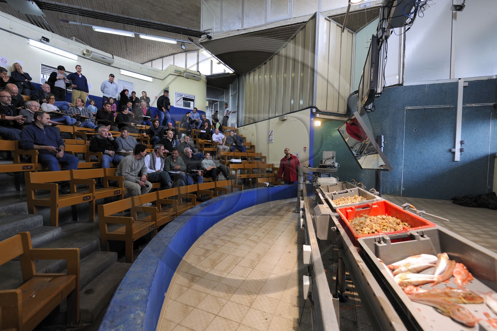 France, Herault, Sete, the fish auction market, the first fish auction computerised of France