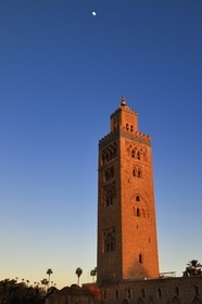 Maroc, Haut-Atlas, Marrakech, ville impériale, Médina classée Patrimoine Mondial de l'UNESCO, la mosquée la Koutoubia et son minaret