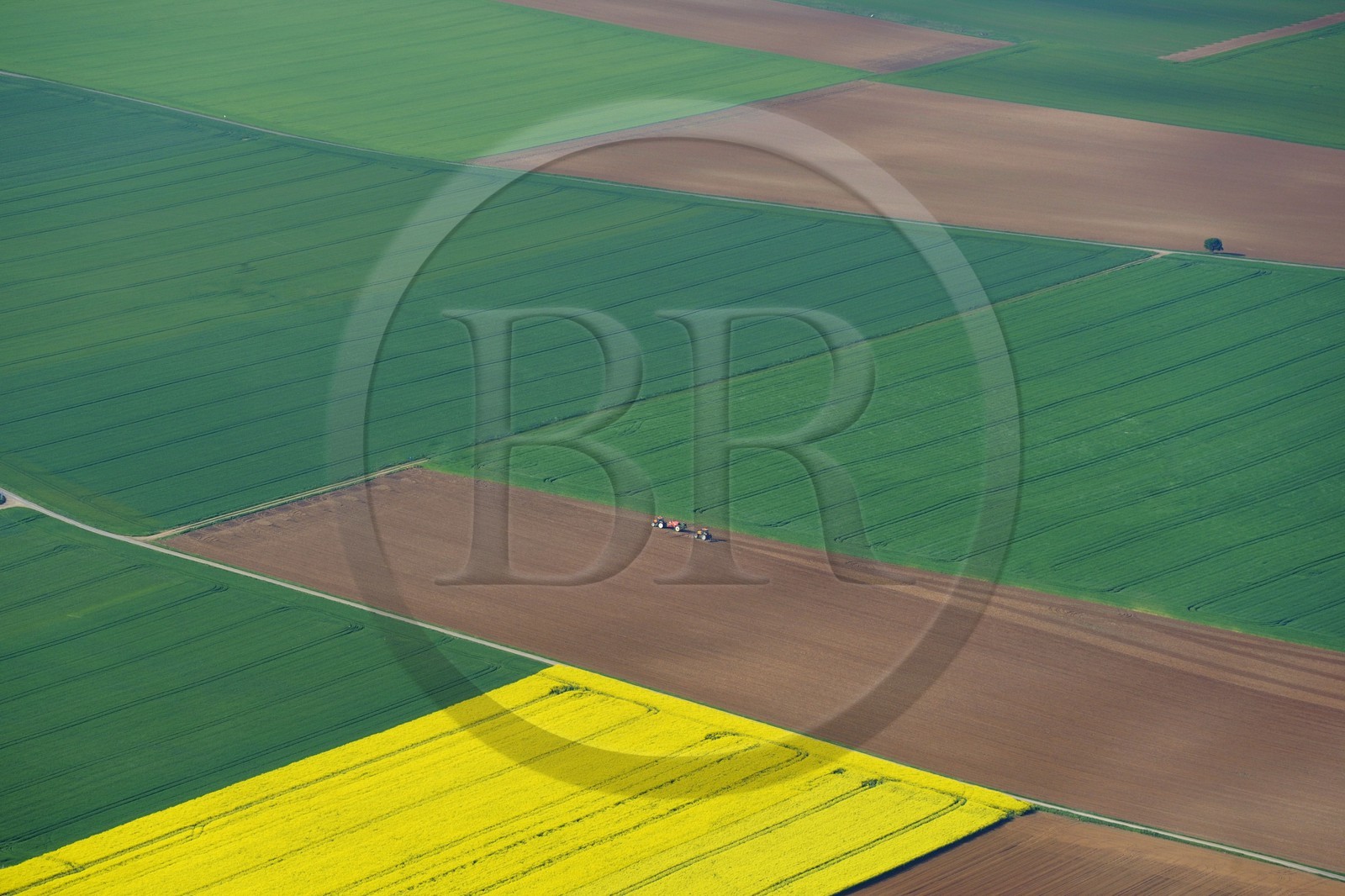 France, Eure, field of rape in blossom (aerial view)