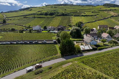 France, Côte-d'Or (21), les climats de Bourgogne classés Patrimoine Mondial de l'UNESCO, Route des Grands Crus, vignoble de la Côte de Beaune, Pommard, vignoble où les Hospices de Beaune possèdent des parcelles (vue aérienne)
