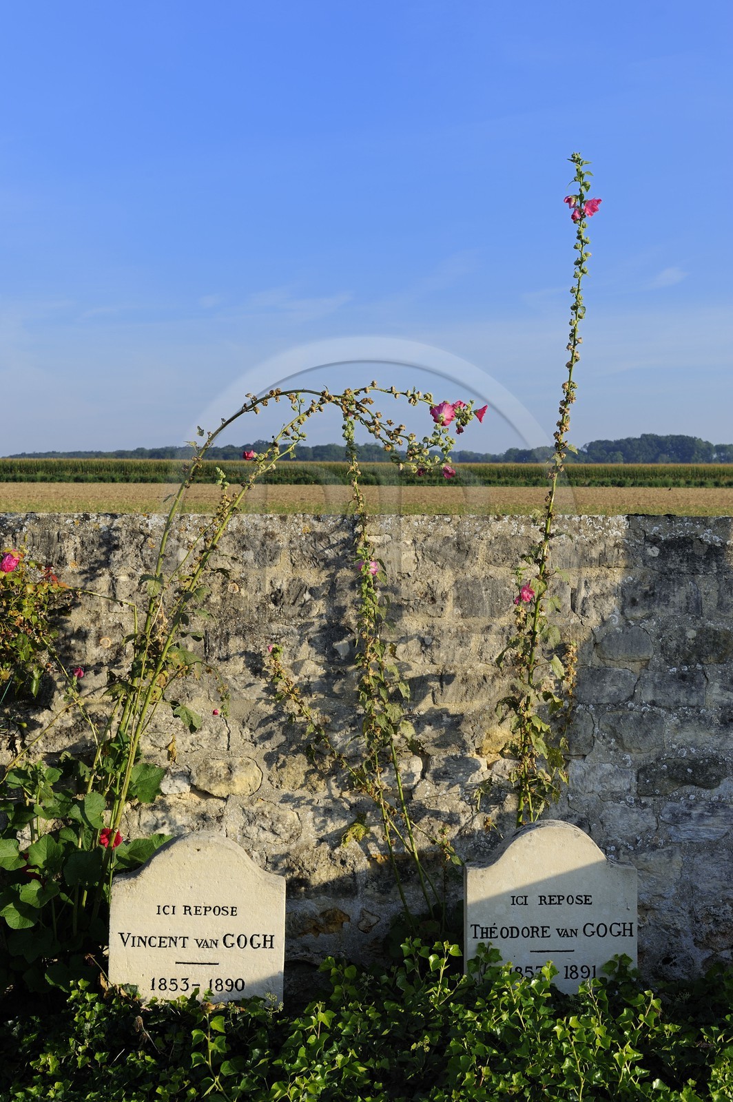 France, Val-d'Oise (95), parc naturel régional du Vexin français, Auvers-sur-Oise, cimetière, les tombes de Vincent et Théodore Van Gogh