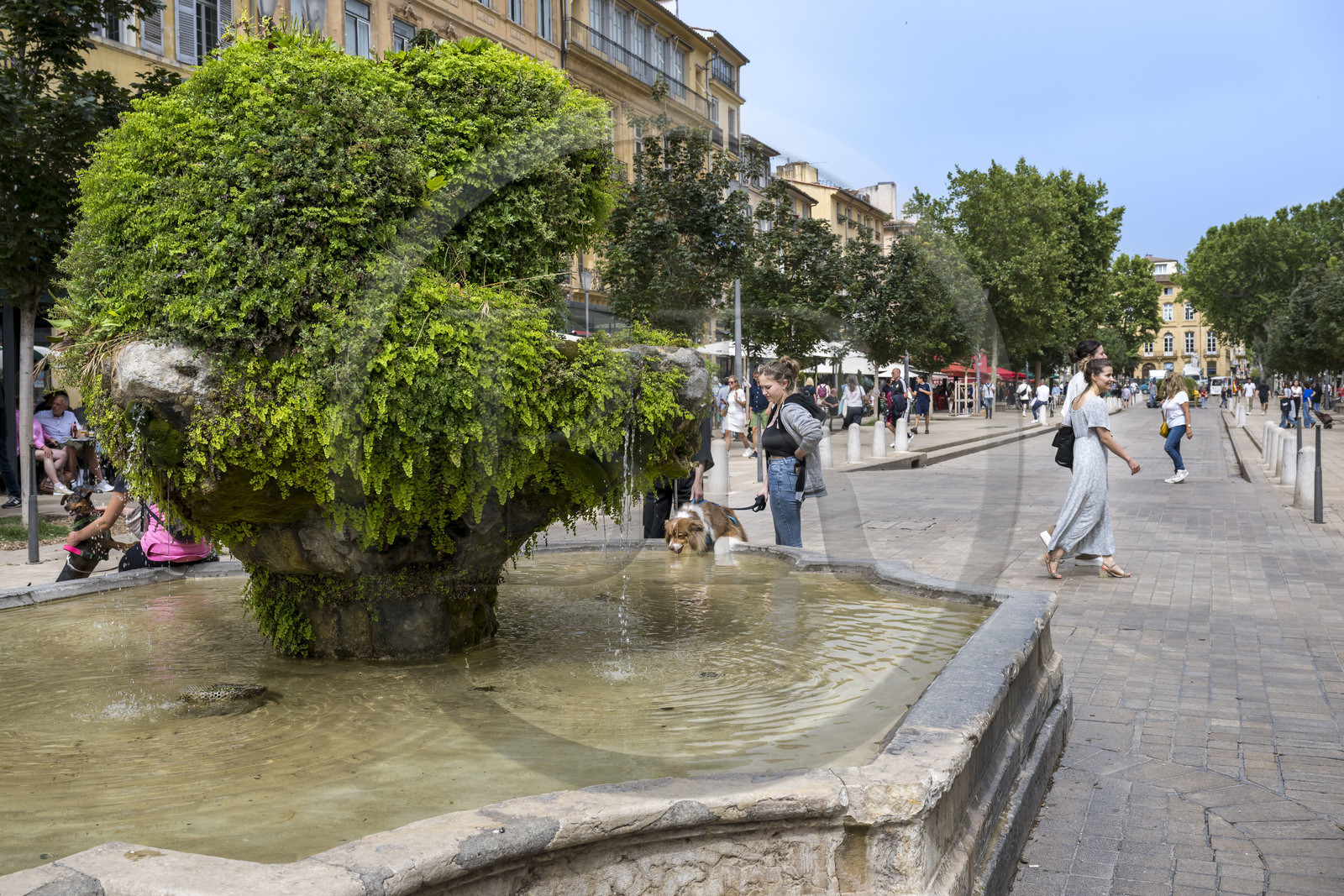 France, Bouches-du-Rhône (13), Aix en Provence, cours Mirabeau, artère principale de la ville, fontaine des 9 canons