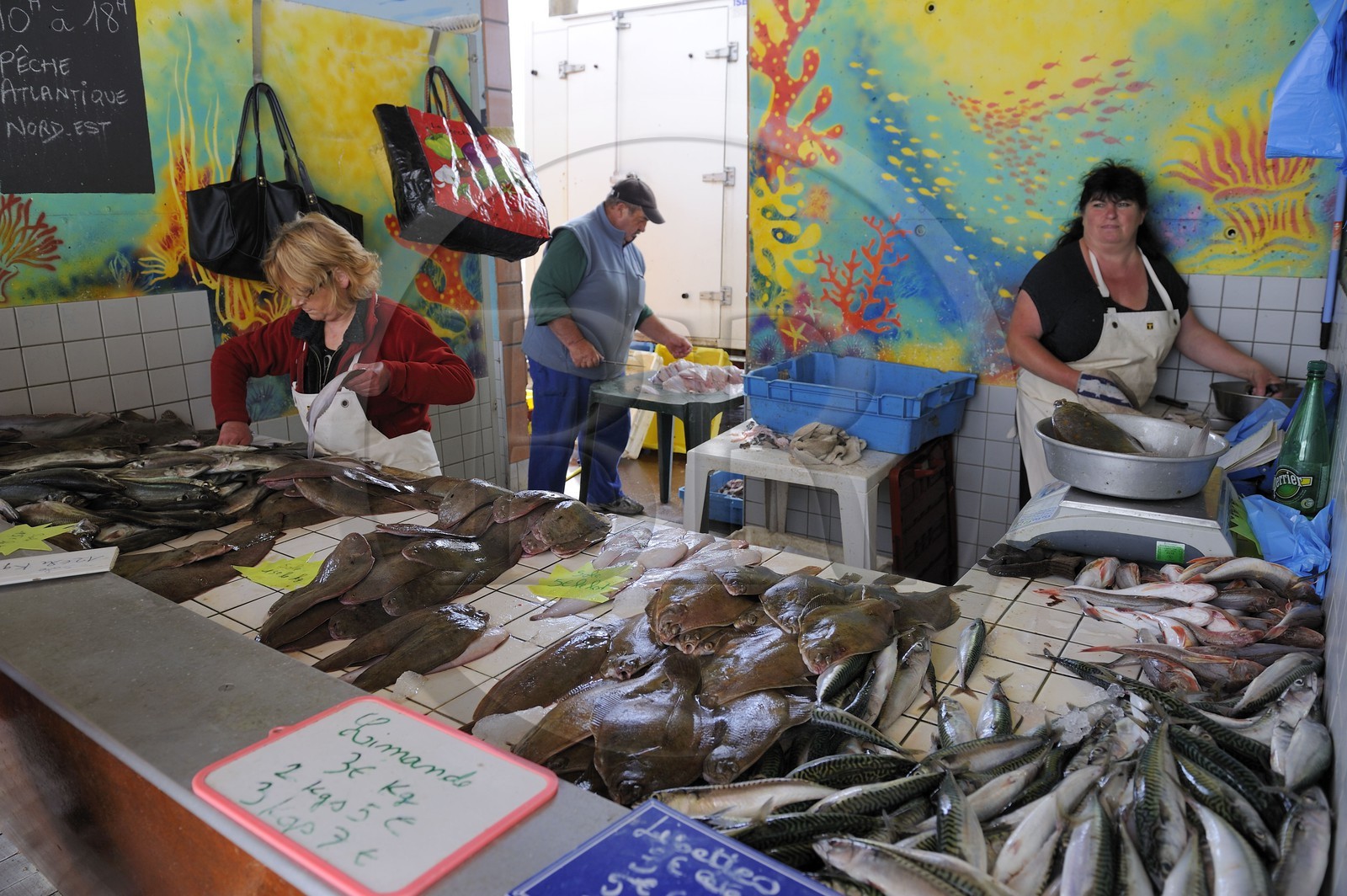 France, Seine-Maritime (76), Le Havre, port de pêche, marché aux poissons pratiquant la vente directe