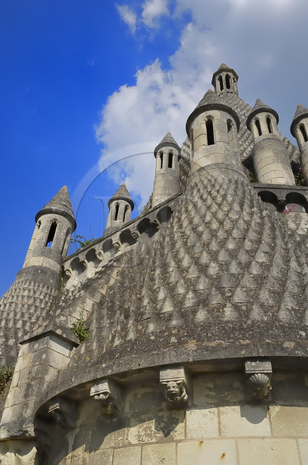 France, Maine et Loire (49), Vallée de la Loire classée Patrimoine Mondial de l' UNESCO, Fontevraud-l'Abbaye, abbaye de Fontevraud, les cuisines romanes du 12ème siècle