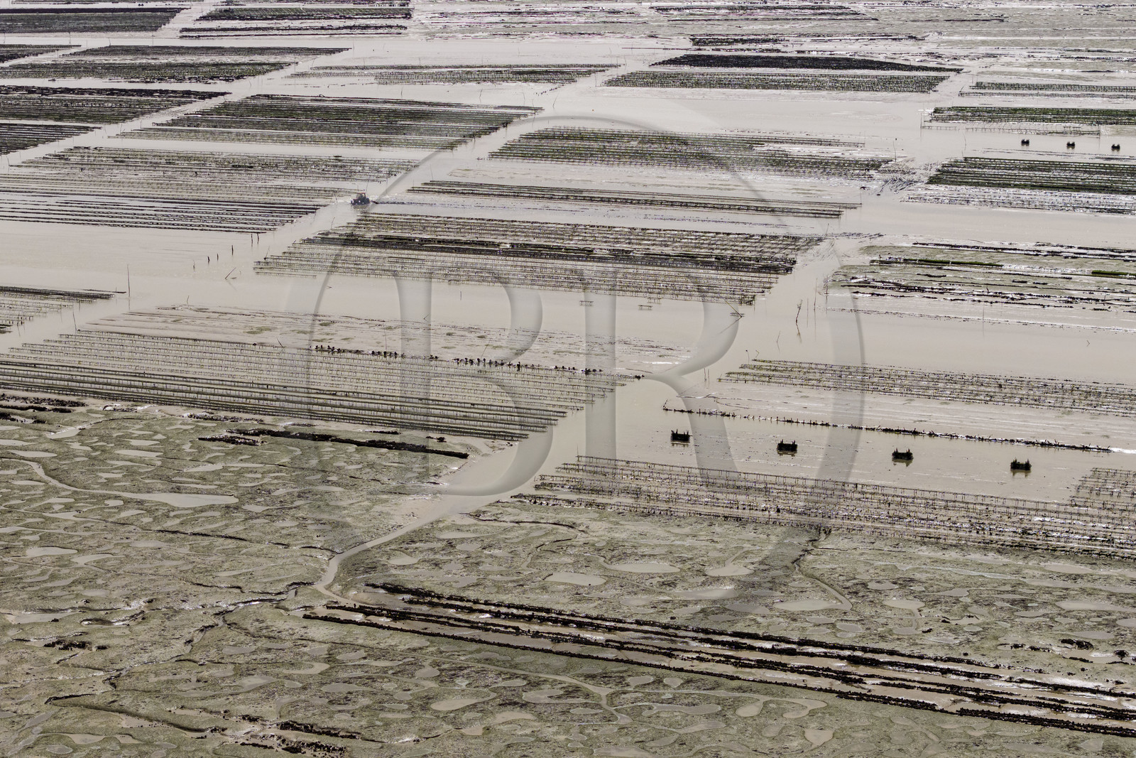 France, Charente-Maritime (17), Ile d'Oléron, Dolus-d’Oléron, les parcs à huitres du bassin de Marennes-Oléron dans le Pertuis d'Antioche à marée basse (vue aérienne)