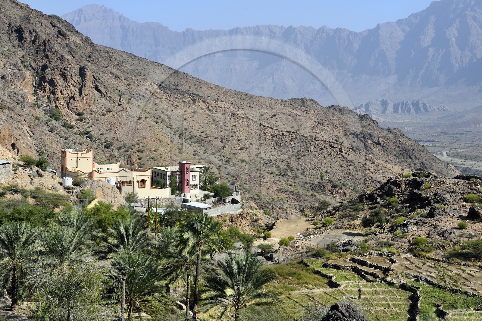Sultanat d'Oman, Gouvernorat d'Al-Batina du Sud, Hajar occidental, Wadi Mistall, village de Hijar