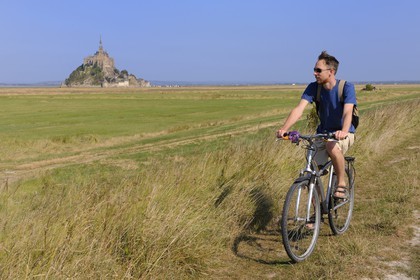 France, Ille-et-Vilaine (35), le Mont-Saint-Michel depuis la digue des polders