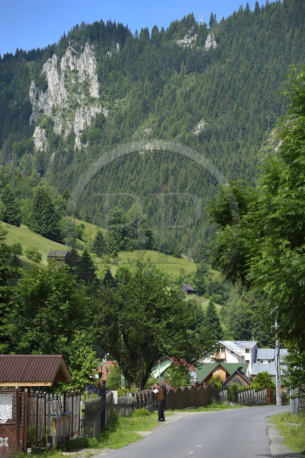 Romania, Transylvania, Brasov region, the Fagaras Mountains at Moieciu de Sus in the Southern Carpathians