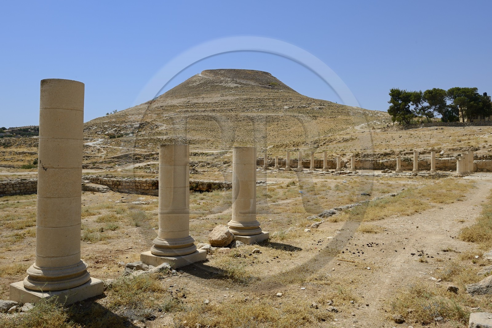 Israel, Cisjordanie, l'Hérodion, colline artificiellement exhaussée qui abrite les ruines d'un palais fortifié construit par le roi Hérode Ier le Grand (site classé Parc National), vestiges du palais de l'Hérodion inférieur et de son bassin