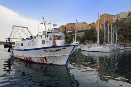 France, Haute Corse, Bastia, Terra-Vecchia district, the harbour and the Citadel district of Terra Nova in the background, back from fishing