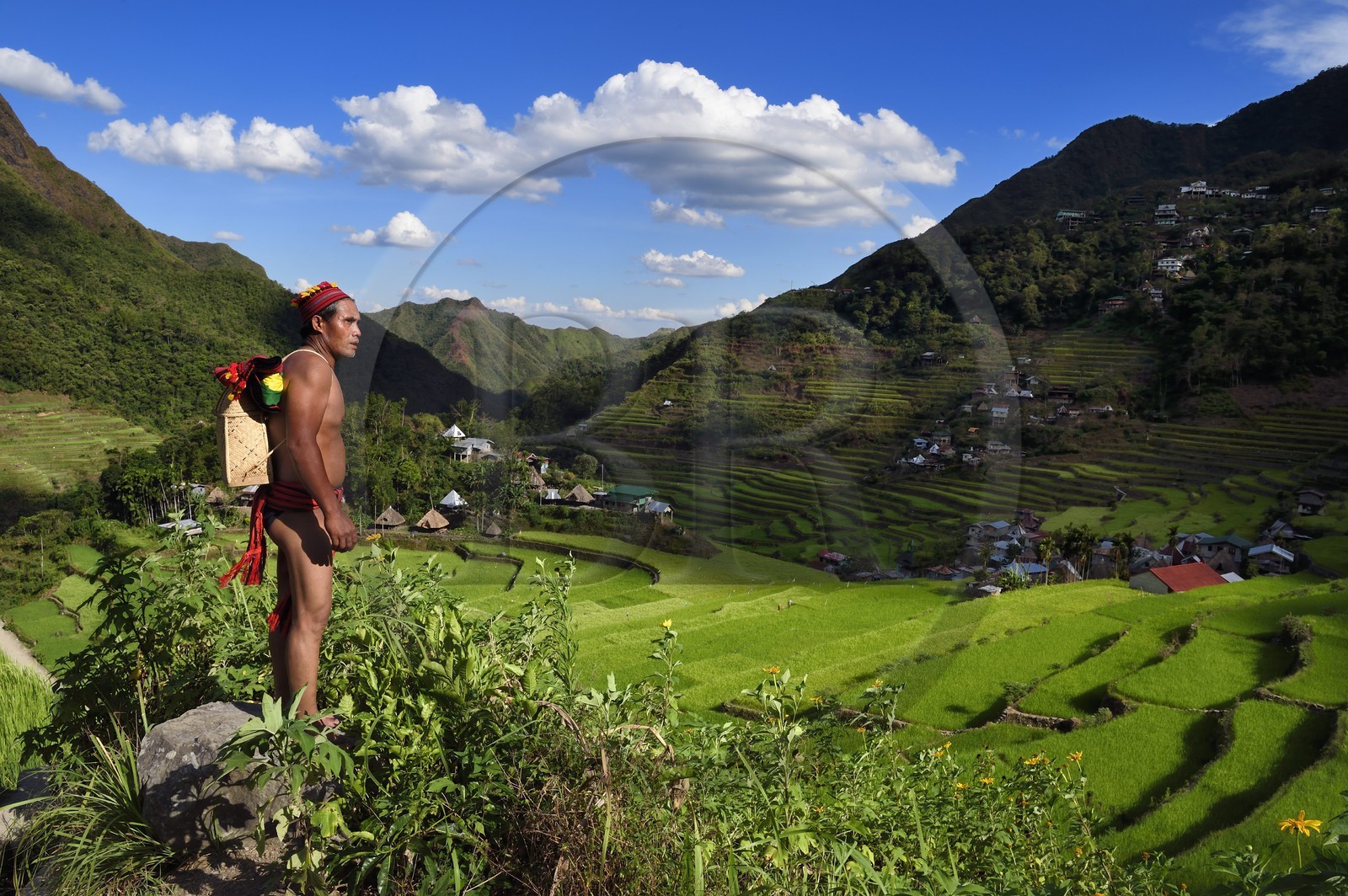 Philippines, Ifugao province, Banaue rice terraces around the village of Batad, listed as World Heritage by UNESCO, the guide Adolpho coated in the traditional Ifugao costume